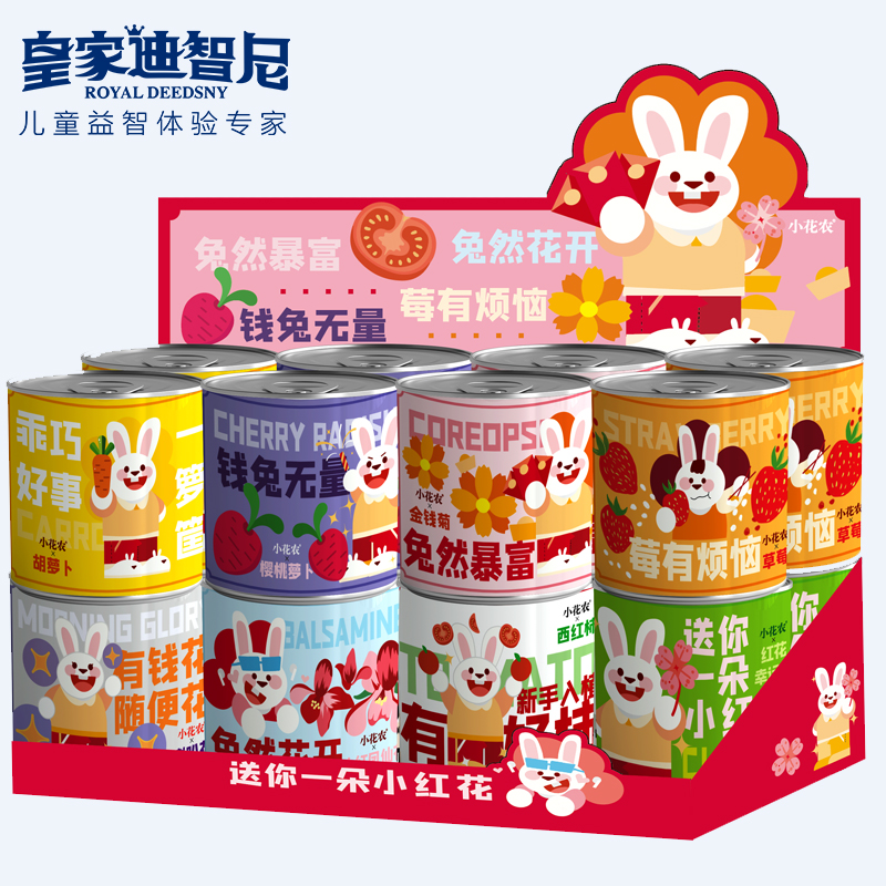 皇家迪智尼 I 好消息，2024年新品上新，兒童益智類的家庭園藝！
