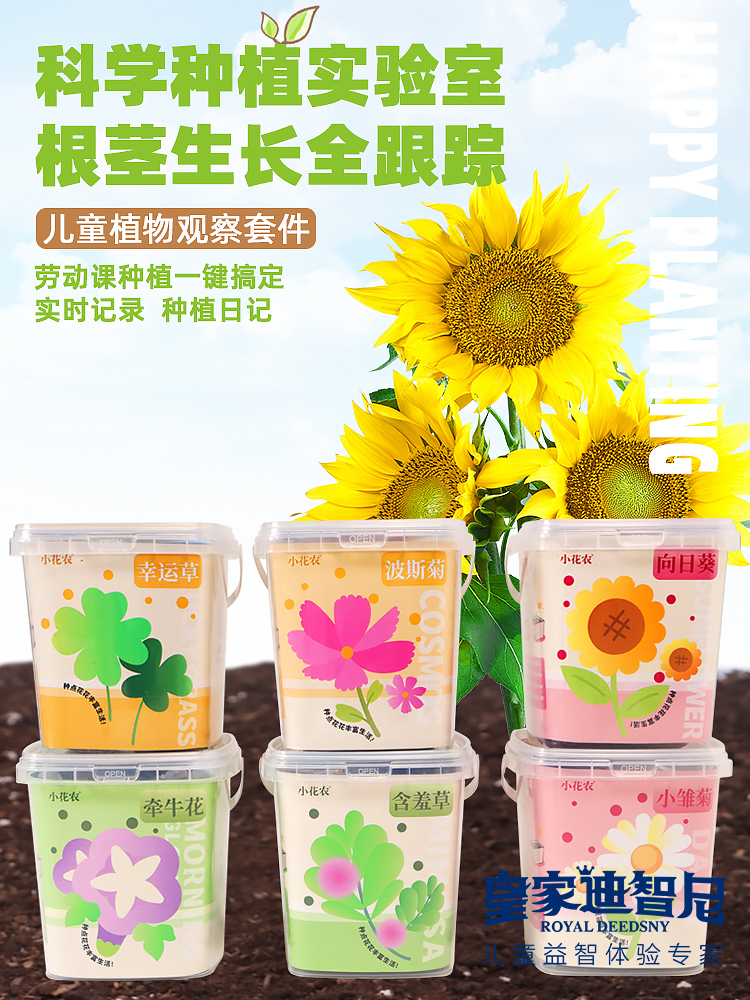 皇家迪智尼 I 好消息，2024年新品上新，兒童益智類的家庭園藝！