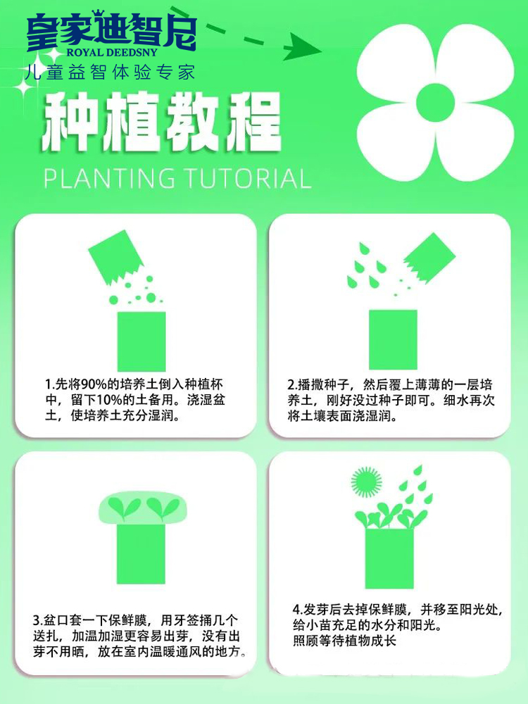 皇家迪智尼 I 好消息，2024年新品上新，兒童益智類的家庭園藝！