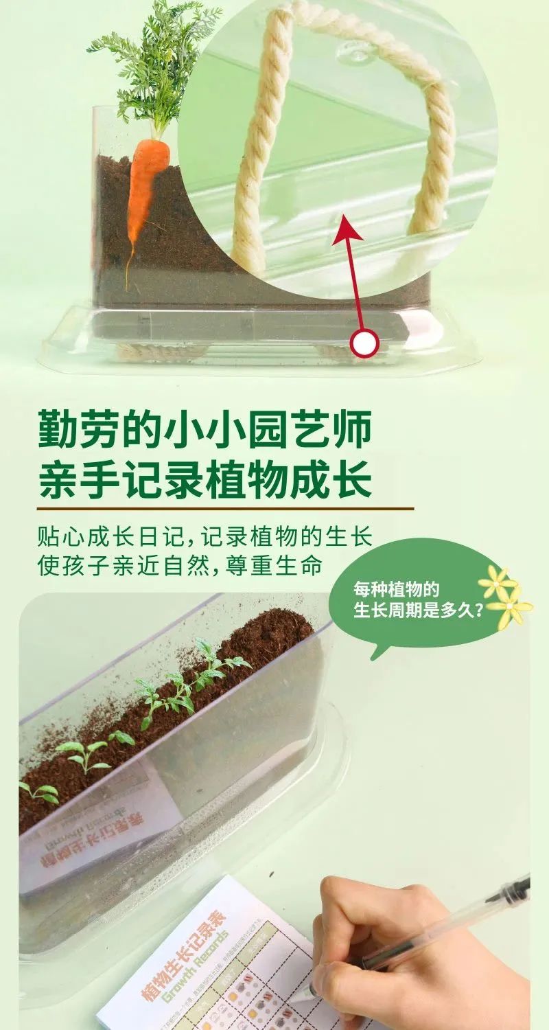 皇家迪智尼 I 兒童益智手工家庭園藝，爆款類手工種植攻略！
