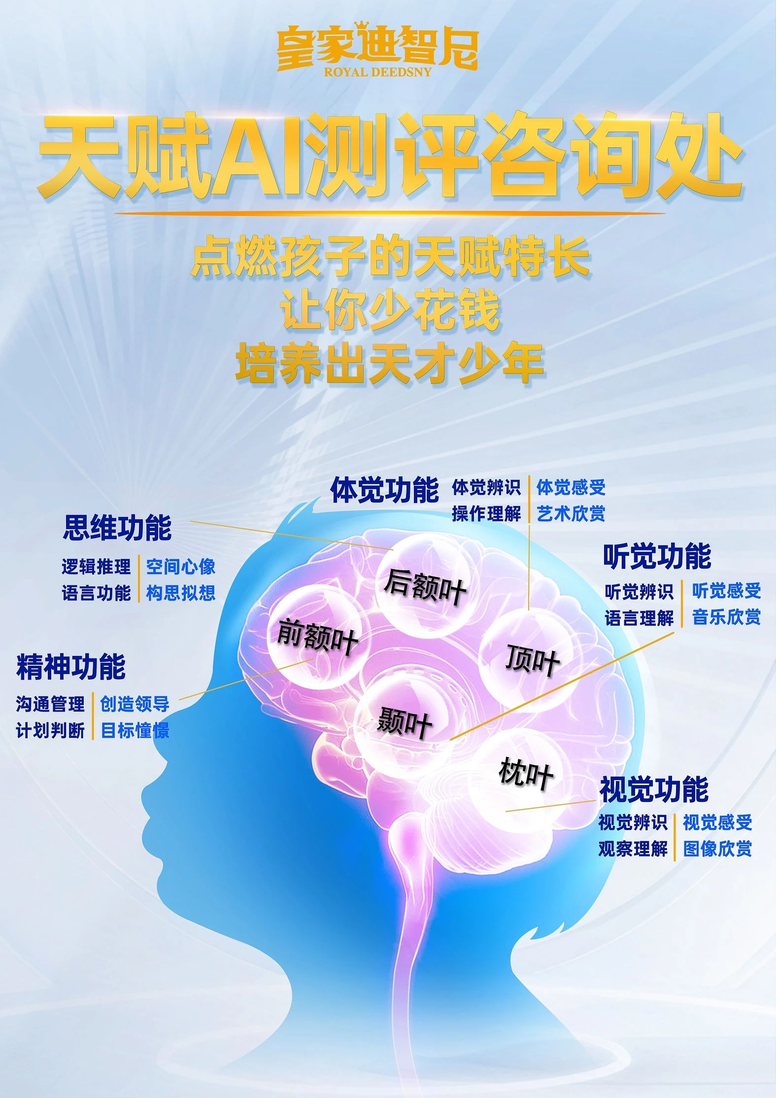 皇家迪智尼 I 為什么兒童益智玩具體驗館一定要引進天賦AI測評？