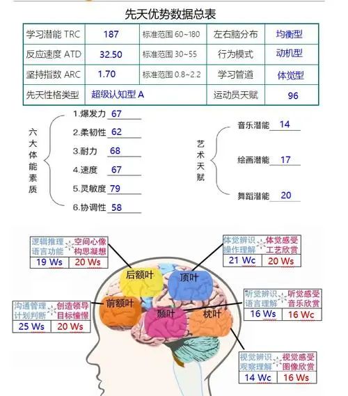 皇家迪智尼 I 營銷賦能益智玩具樂園結合天賦測評！
