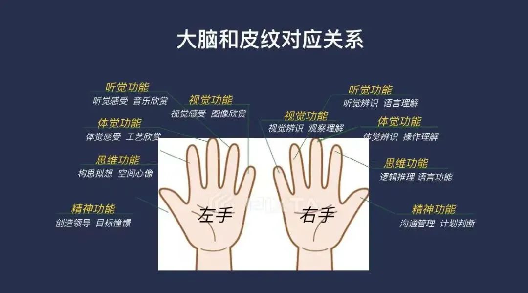 皇家迪智尼 I 營銷賦能益智玩具樂園結合天賦測評！
