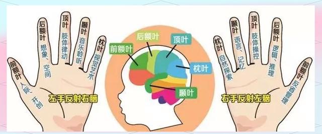 皇家迪智尼 I 解鎖八大智能天賦從皮紋測評開啟！